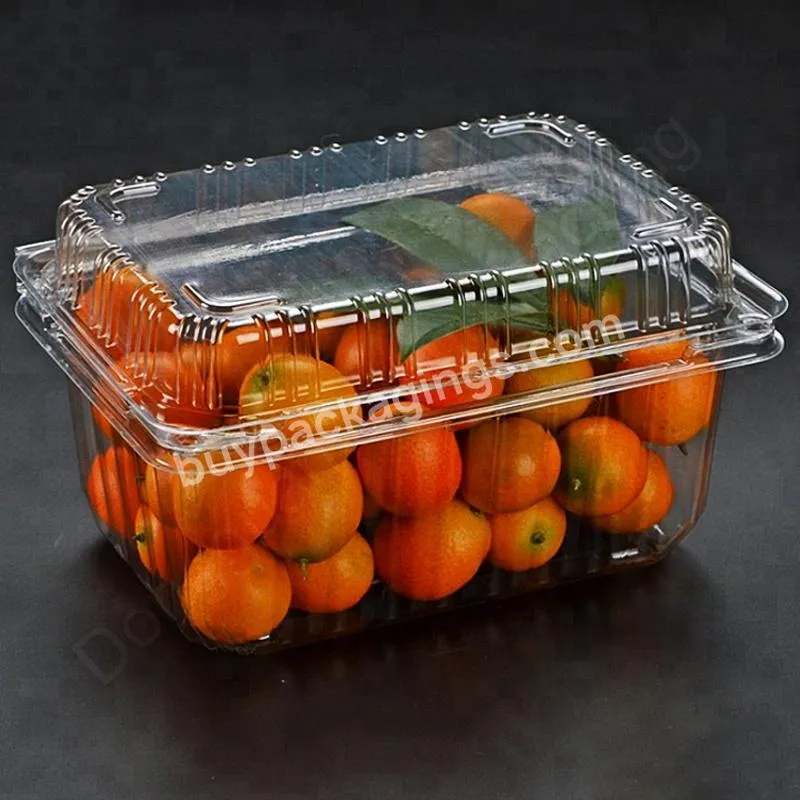Disposable Clear Plastic Blister Clamshell Fruit Punnet Container Packaging Box - Buy Fruit Packing Box,Clamshell Packaging Box,Blister Packaging Box.