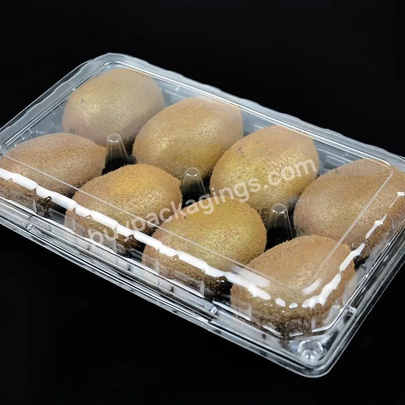 Transparent Dry Packaging Disposable Plastic Fruit Container Fresh Fruit Box For Kiwifruit - Buy Fruit Boxes For Shipping,Fruit Storage Container,Plastic Fruit Storage Box.