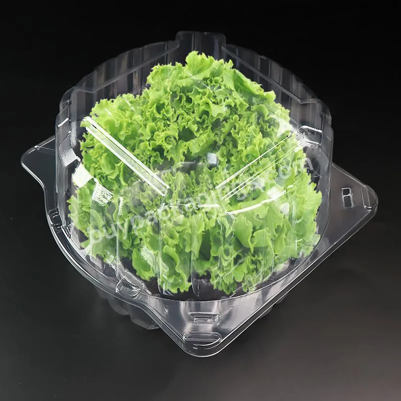 Transparent Rpet Or Pet Clamshell Blister Container For 1 Pound Salad Herb Lettuce Leafy Packaging Box - Buy Lettuce Packaging,Leafy Packaging Box Container,Herb Packaging Box.