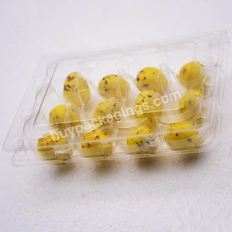 Wholesale Transparent Plastic Quail Egg Carton Box Tray Packaging With12 Holes - Buy Plastic Quail Egg Tray,Egg Box,Egg Carton.