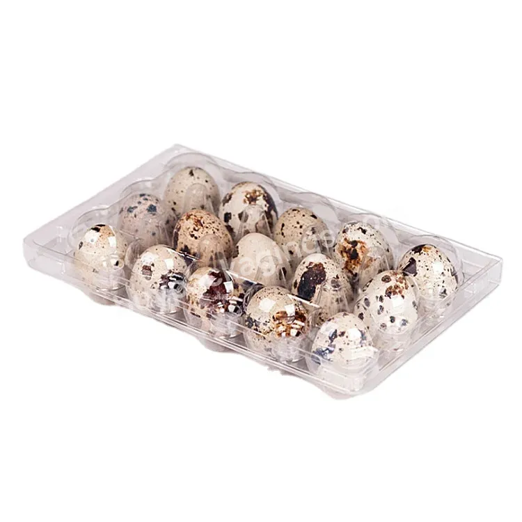 15 Holes Hinged Clamshell Disposable Clear Blister Plastic Quail Eggs Cartons Packaging Egg Trays Manufacturer - Buy Quail Egg Package,Packing For Eggs,Quail Egg Tray 15.