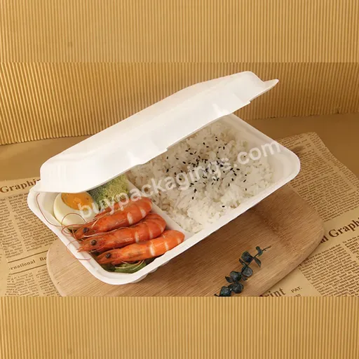 2 Section Biodegradable Sugarcane Clamshell 6 Inch Bagasse Burger Box Food Carton Box Restaurant With Transparent Window Lunch