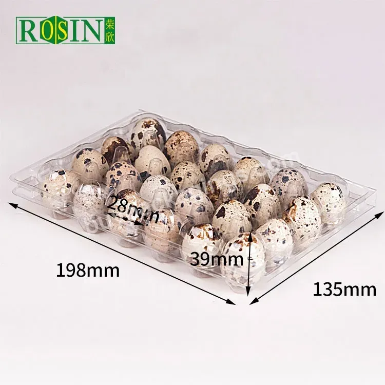 24 Holes Hinged Clamshell Disposable Clear Blister Plastic Quail Eggs Cartons Packaging Egg Trays Supplier - Buy Clear Plastic Quail Eggs Cartons,Plastic Box Eggs Quails,Quail Egg Package For 24 Eggs.