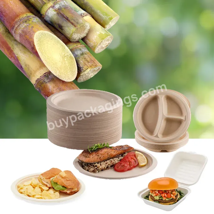 6 8 10 Inch 3 Compartment Products Eco Friendly Pulp Sugarcane Round Plate Disposable Sugarcane Bagasse Pulp Plate Box Container