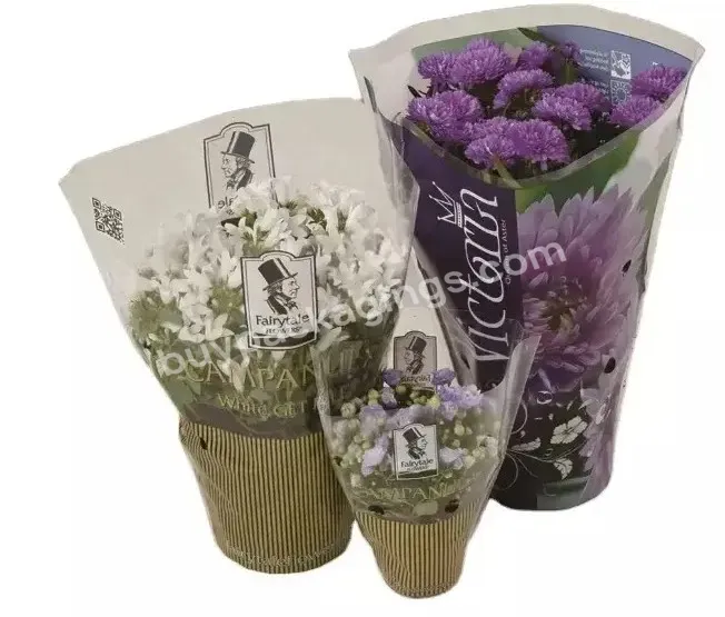 Biodegradable Cpp Opp Transparent Flower Bouquet Wrap Clear Wrapping Bags Plastic Floral Sleeves Bag - Buy Plastic Floral Sleeves Bag,Transparent Wrapping Bag,Plastic Bouquet Wrapping Bag.