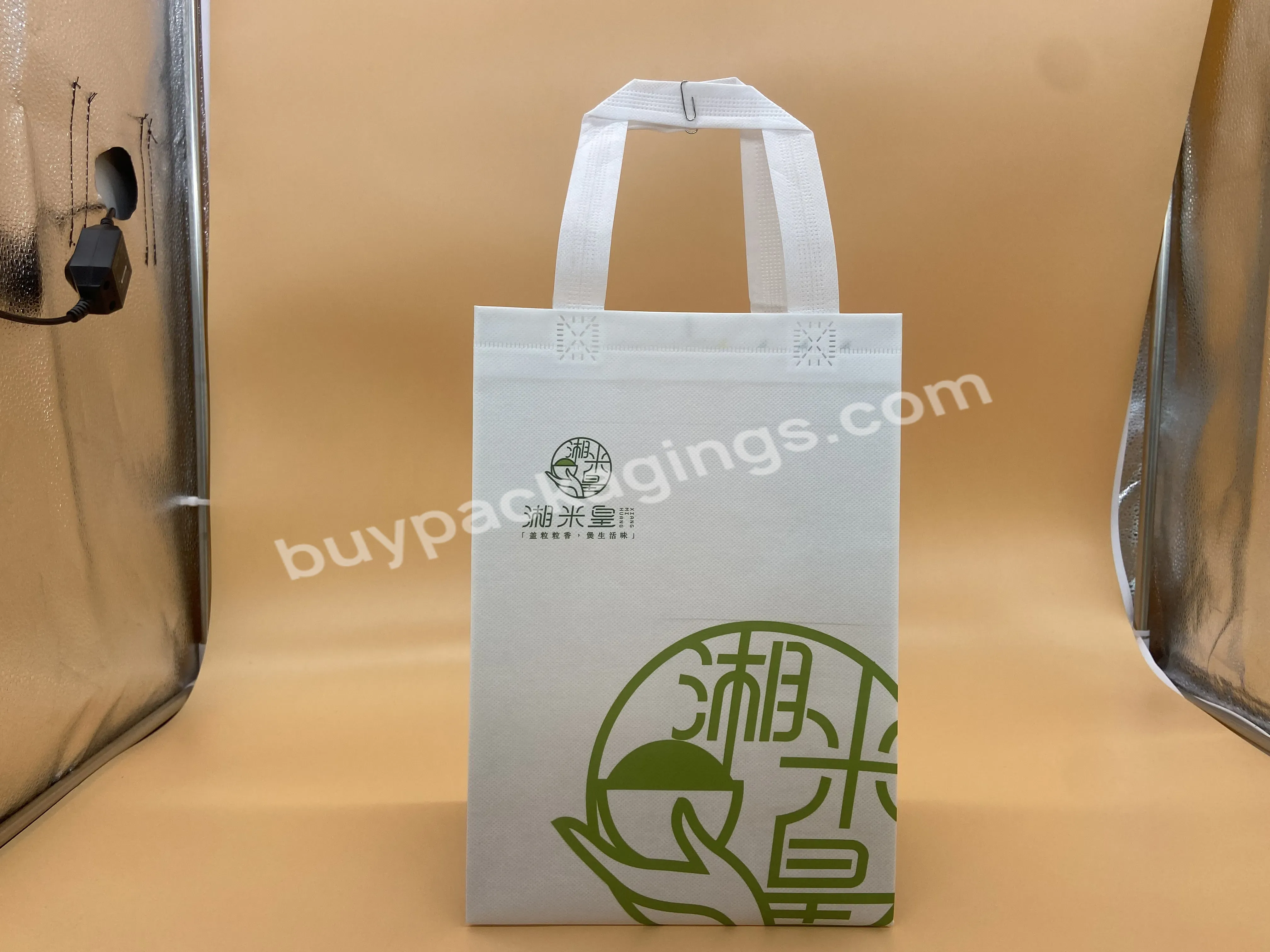 China Manufacturers Waterproof And Oilproof Large Capacity Green Customized Printing Non Woven Bag For Picnic