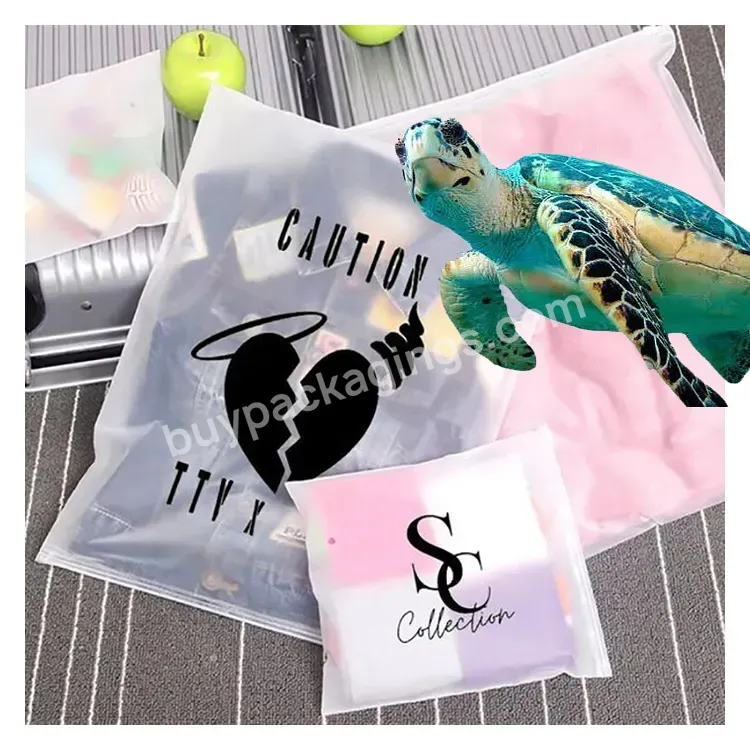 Custom Biodegradable Clear Pvc Pe Packing Frosted Matte Ziplock Plastic Packaging Women Underwear For Clothing Zipper Bag - Buy Clothing Zipper Bag,Zipper Bag For Clothing,Frosted Zipper Bag For Clothing.