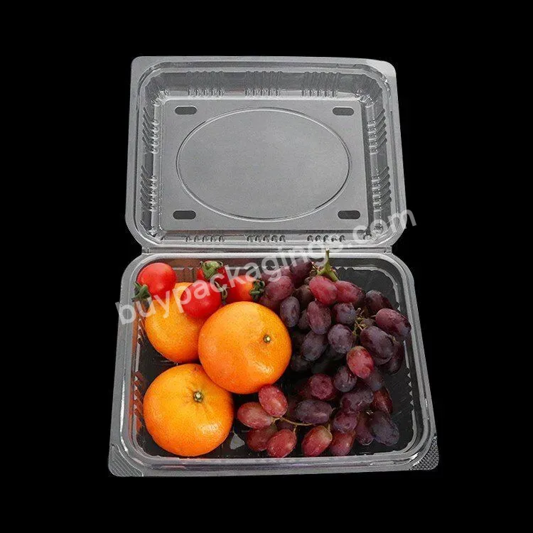 Custom Disposable Clear Clamshell Pet Plastic 500g Fruit Plastic Container Vented With Hole - Buy 500g Fruit Plastic Container Vented,Disposable Clear Clamshell 500g Fruit Container,Pet Plastic Fruit Container With Hole.