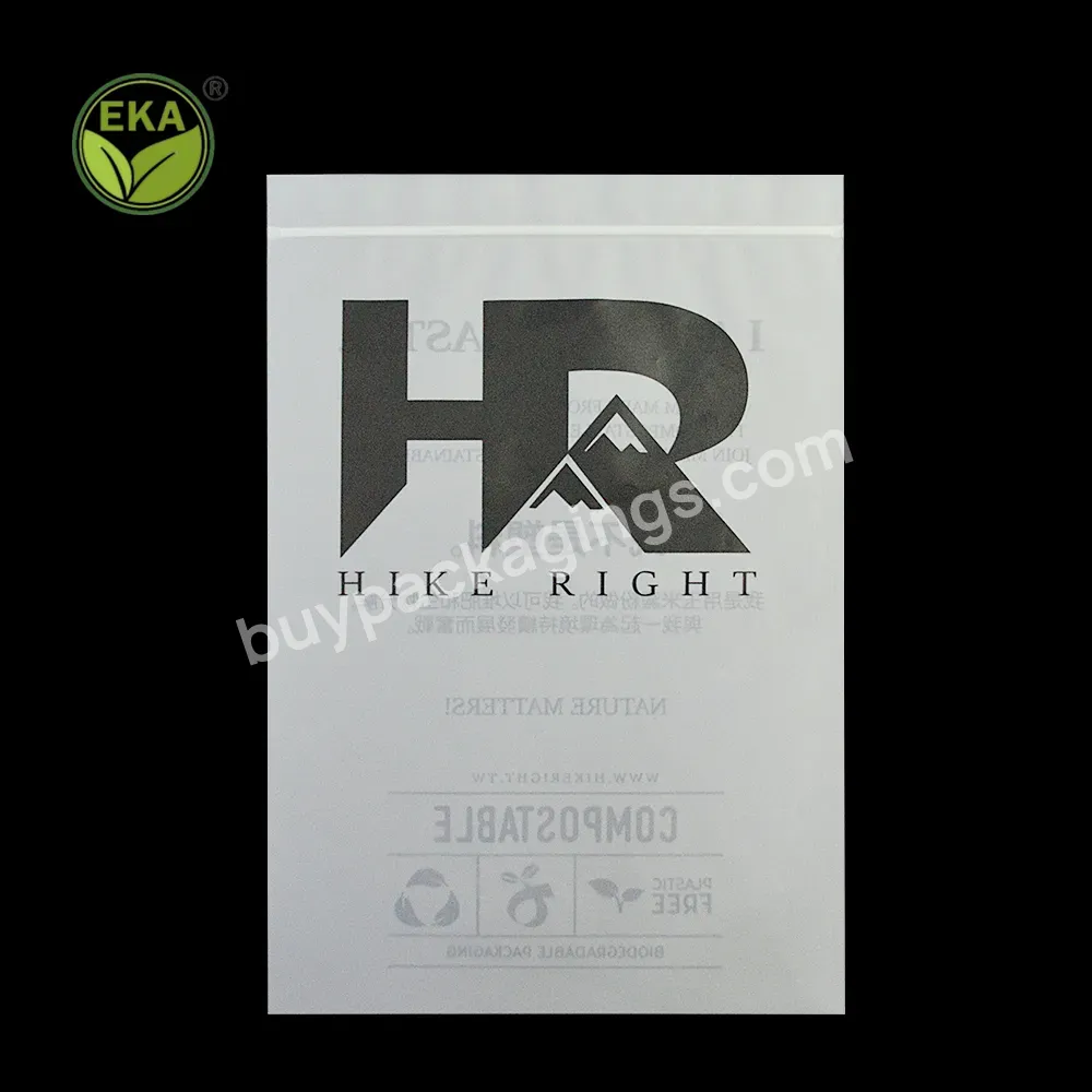 Custom Logo Printing Slide Matte/ Frosted Biodegradable Zipper Plastic Bag Clear Clothing Tshirt Poly Zip Bag With Own Logo
