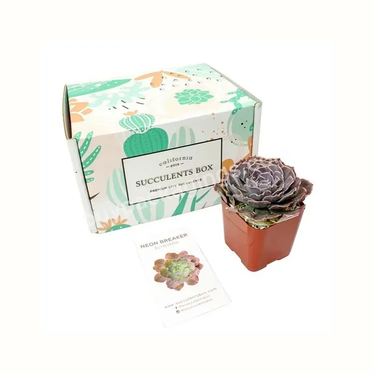 Custom Printing Paper Die Cut Cactus Live Succulent Pot Plant Shipping Box For Plant Packaging - Buy Custom Printing Paper Die Cut Cactus Live Succulent Pot Plant Shipping Box For Plant Packaging,Plant Packaging Box,Paper Die Cut Cactus Live Succulen