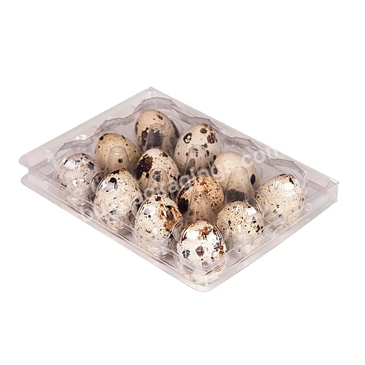 Customized Biodegradable Pet Plastic 12 Hole Quail Egg Trays Packaging Box For Sale - Buy Quail Eggs Boxes,12 Cartons Quail Egg Packaging Box,Plastic Egg Tray Containers.