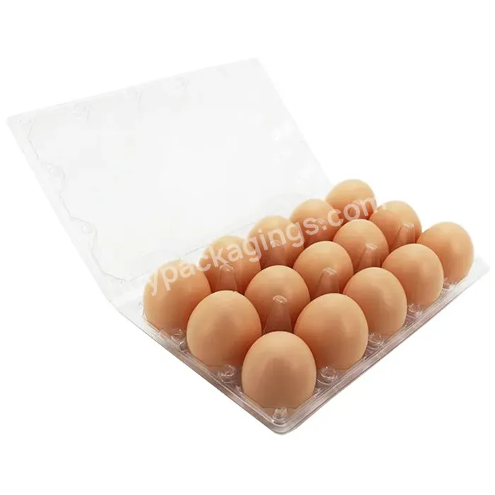 Customized Blister Transparent Disposable Egg Tray Clear Quail Egg Packaging Tray Plastic Box For Turkey Egg Tray - Buy Plastic Box For Turkey Egg Tray,Custom Transparent Disposable Egg Tray,Plastic Tray For Chicken Eggs.