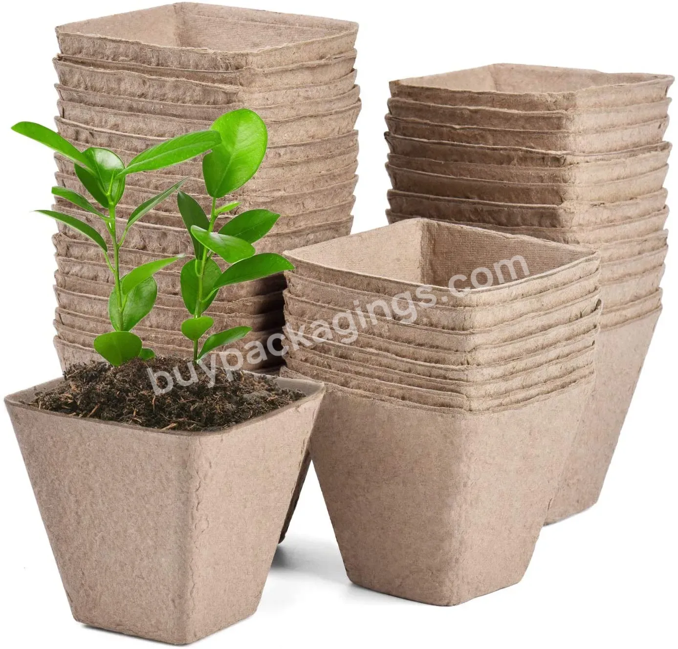 Customized Cheap Peat Pots For Seedlings Gardening Seed Starter Tray Biodegradable And Compostable Manufacturer - Buy Seed Starter Pot,Peat Pots,Seeding Pot.
