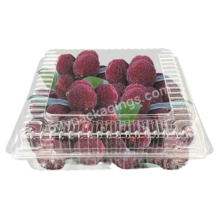 Customized Plastic Disposable Transparent Square 250gm Strawberry Fruit Food Container For Berry And Vegetable Packaging Boxes - Buy Fruit Food Container For Berry,Plastic Disposable Square Vegetable Packaging,Transparent 250gm Strawberry Fruit Box.