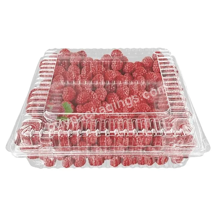Customized Plastic Disposable Transparent Square 250gm Strawberry Fruit Food Container For Berry And Vegetable Packaging Boxes - Buy Fruit Food Container For Berry,Plastic Disposable Square Vegetable Packaging,Transparent 250gm Strawberry Fruit Box.