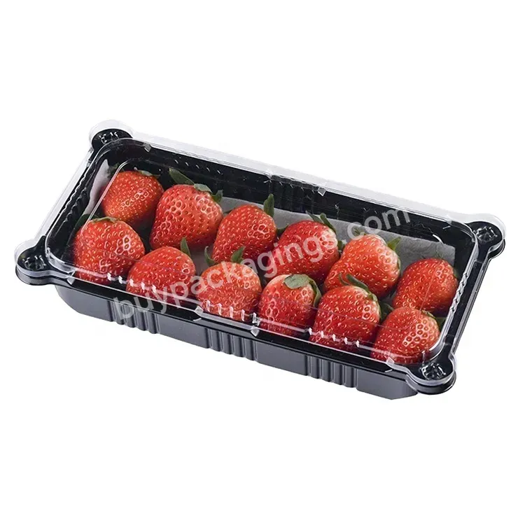 Disposable Black Rectangular Packaging Box Supermarket Strawberries Fruit Plastic Food Pet Fresh Fruit Packaging Tray - Buy Plastic Fruit Box Packaging,Boxes For Strawberries,Fresh Fruit Packaging Tray.