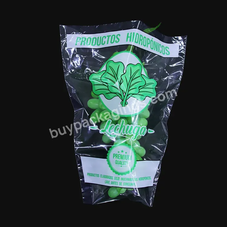 Eco-friendly Trapezoid Vegetable Cellophane Packaging Bags With Customized Print Lettuce Bag - Buy Vegetable Bag,Lettuce Bag,Trapezoid Bag.