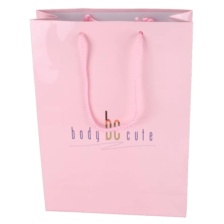 Factory direct sale high quality carry Paper bag with logo print custom