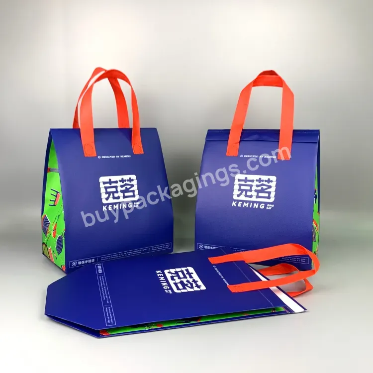 High Quality Restaurant Use Custom Printed Pattern Thermal Insulation Bag For Food Delivery - Buy Restaurant Use Leakproof Bag,Thermal Insulation Bag,Insulation Bag For Food Delivery.