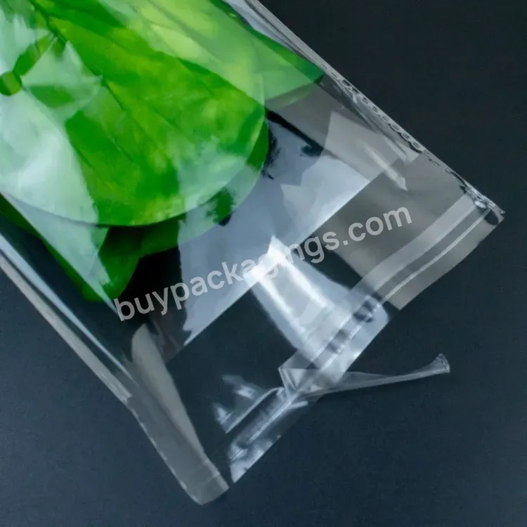 High Transparent Vegetable Lettuce Packaging Bag Self Adhesive Cellophane Plastic Bag - Buy Vegetable Bags,Cellophane Bag,Self Adhesive Lettuce Bag.