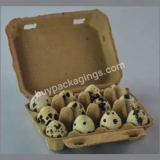 Pigeon Quail Egg Boxes 12 Cells Paper Pulp Quail Egg Holders Cartons Durable Biodegradable Egg Container For Home Store Storage - Buy Wholesale Biodegradable Pulp Egg Trays 24 18 12 Holes Quail Eggs Carton Boxes Paper Packaging Customized Key Logo Od