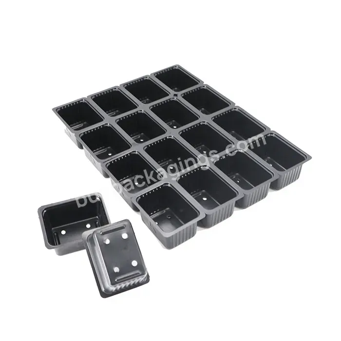 Sample Freely Black Biodegradable Plastic Planting Germination Trays For Reenhouse Vegetables Growing Seedlings - Buy Plastic Planting Trays For Growing Seedlings,Plastic Germination Tray For Greenhouse Vegetables Nursery,Garden Seed Grow Tray.