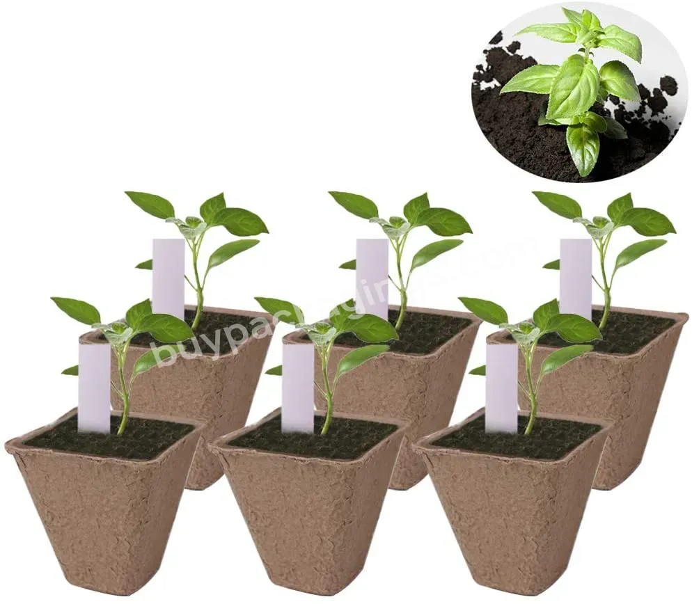 Square Biodegradable Peat Pots Plant Seed Starter Tray & Herb Seed Starters Kit Oem Can Be Customized Manufacturer - Buy Seeding Pot,Plant Pot,Paper Pulp Seeding Pot.