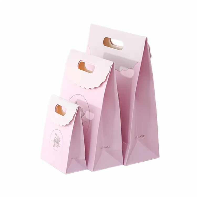 Supplier High Grade Cartoon Colored Cute Clamshell Paper Gift Bag Packaging Bags With Die-Cut Handle