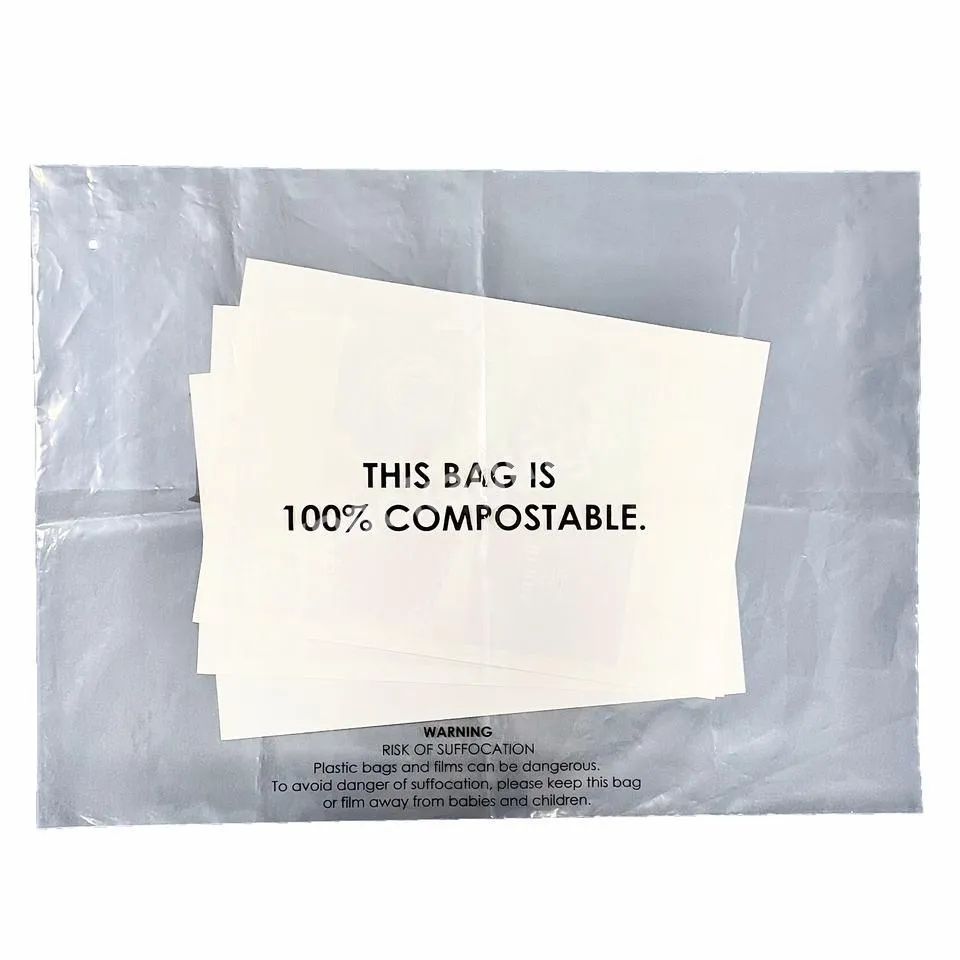 Transparent Recyclable Plastic Packaging Bag Customized Size Print Logo Self-adhesive Bag Poly Bag