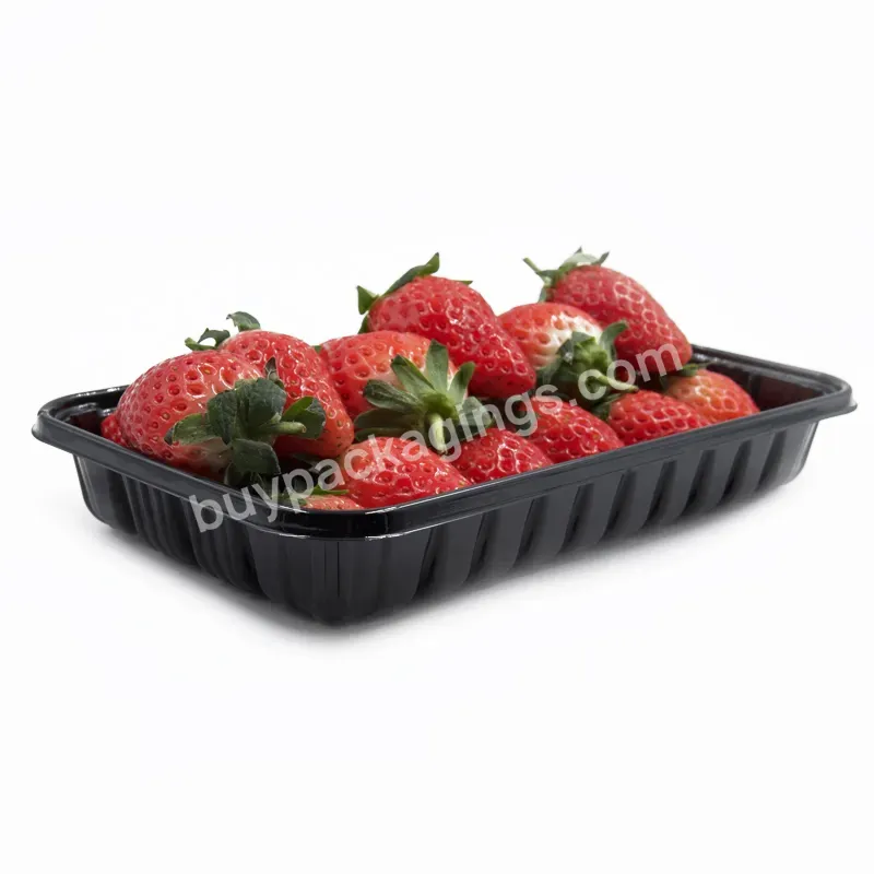 Wholesale Biodegradable Disposable Plastic Blister Pet Pp Fruit Tray For Meat - Buy Disposable Plastic Tray,Blister Pet Pp Tray For Meat,Plastic Fruit Tray.