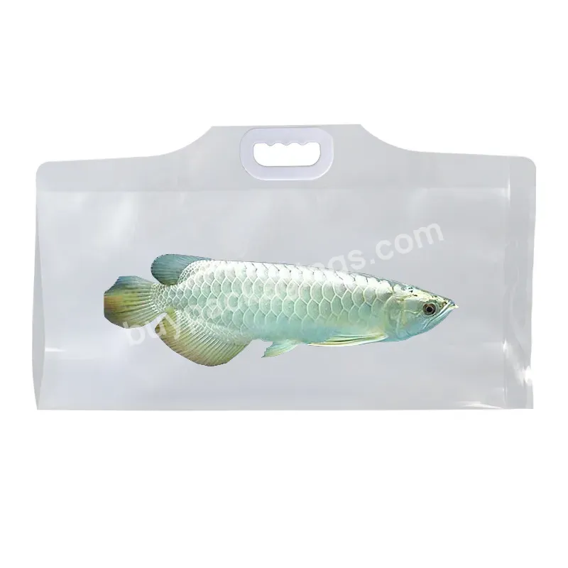 Wholesale Strong Packaging Bag Finished Live Fish Packing Aquarium Oxygenation Seafood Live Fish Transport Bag Container - Buy Live Fish Transport Bag,Live Fish Bag,Live Fish Transport Container.
