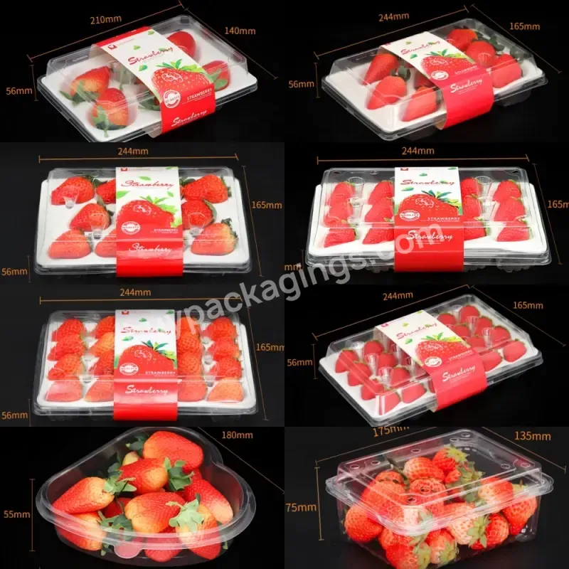 Custom Supermarket Fruits Container 500g Strawberry Plastic Blister Packaging Disposable Shaped Strawberry Holder Box With Foam - Buy Strawberry Holder Box With Foam,Pet/pp Blister Tray,Transparent Moon Cake Pet/pp Blister Tray.