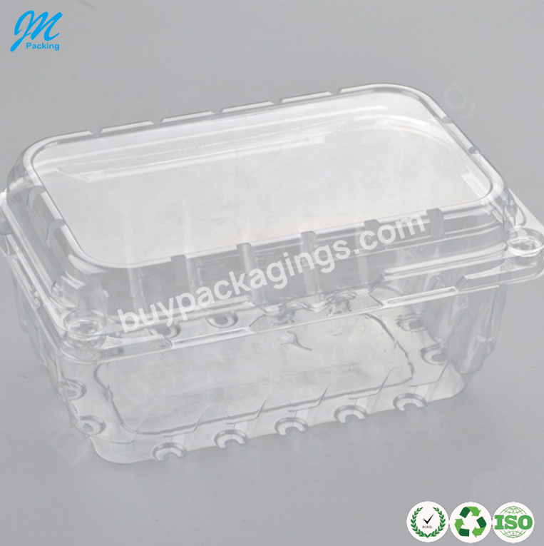 2023 Hot 500g Pcr Rpet Vented Fruit Clamshell Container Punnet