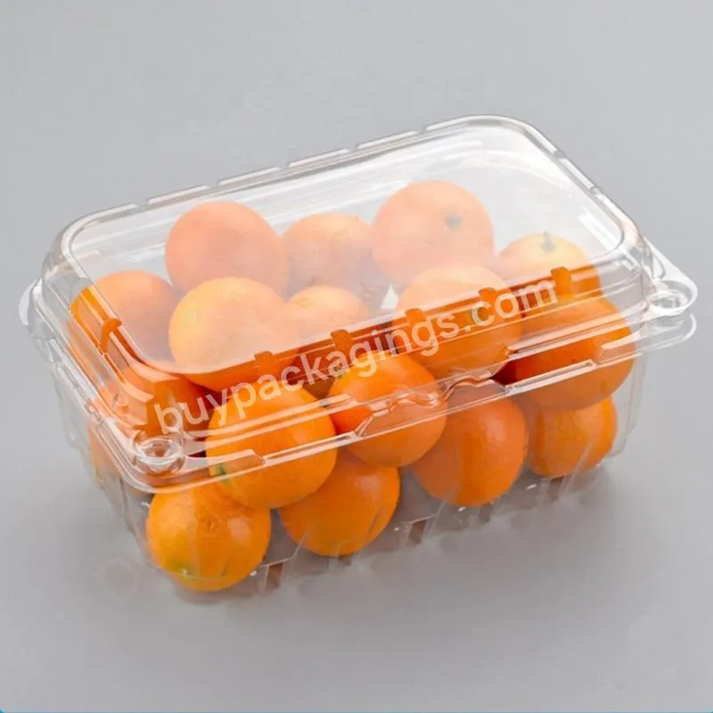 2023 Hot 500g Pcr Rpet Vented Fruit Clamshell Container Punnet