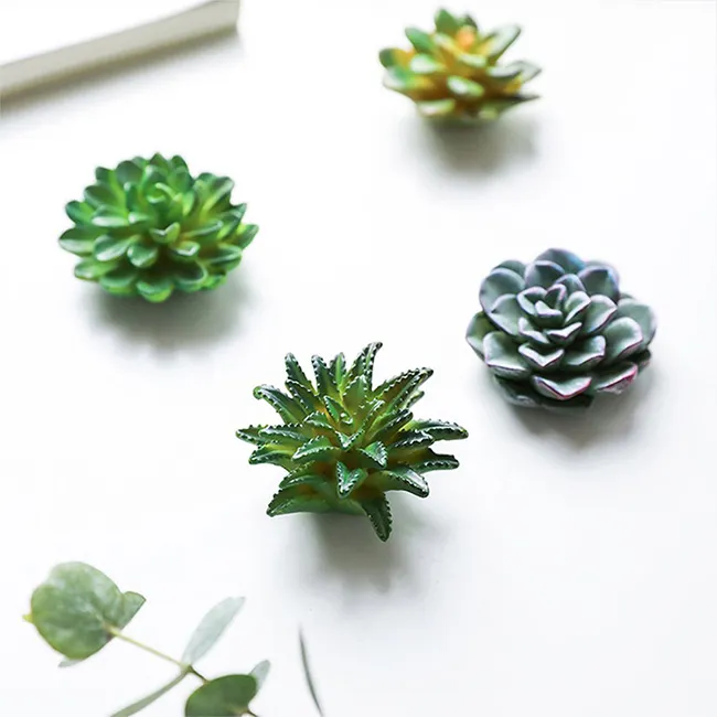 3D Resin Succulents Plant Refrigerator Magnets Flowers Fridge Magnet