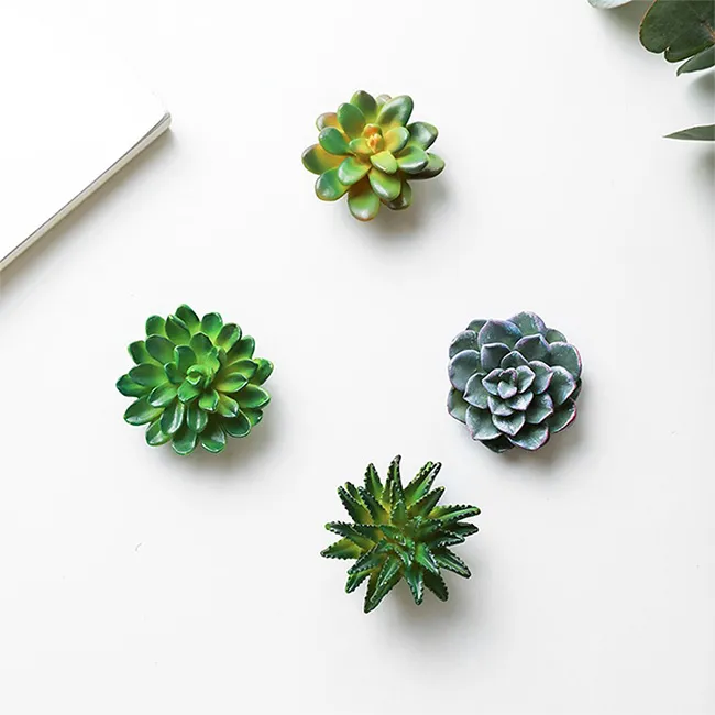 3D Resin Succulents Plant Refrigerator Magnets Flowers Fridge Magnet