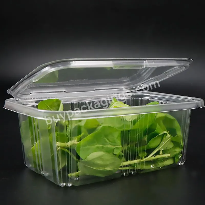 8 16 24 32 48 64 Oz Rpet Tamper Evident Container,Tamper Proof Resistant Packaging Box For Fresh Salad Herb Fruit Nuts Food