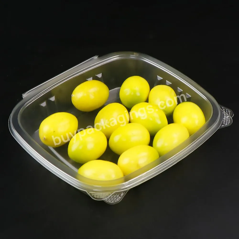 8oz 16oz 24oz 32oz 48oz Salad Container,Wholesale Fruit Box