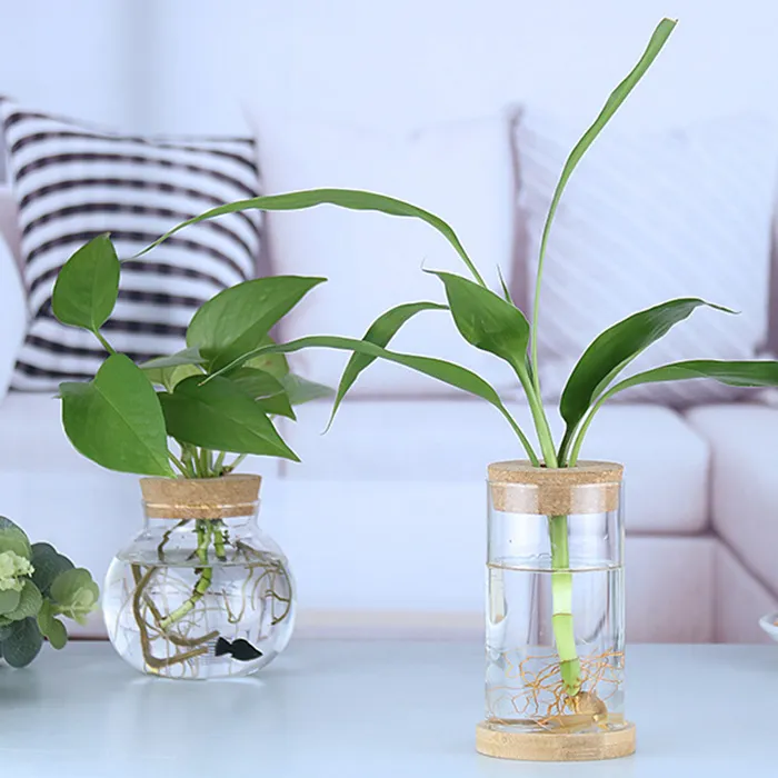 Cheap Price Flowerpot For Green Plant Creative Decoration Landscape Cup High Quality Glass Bottle