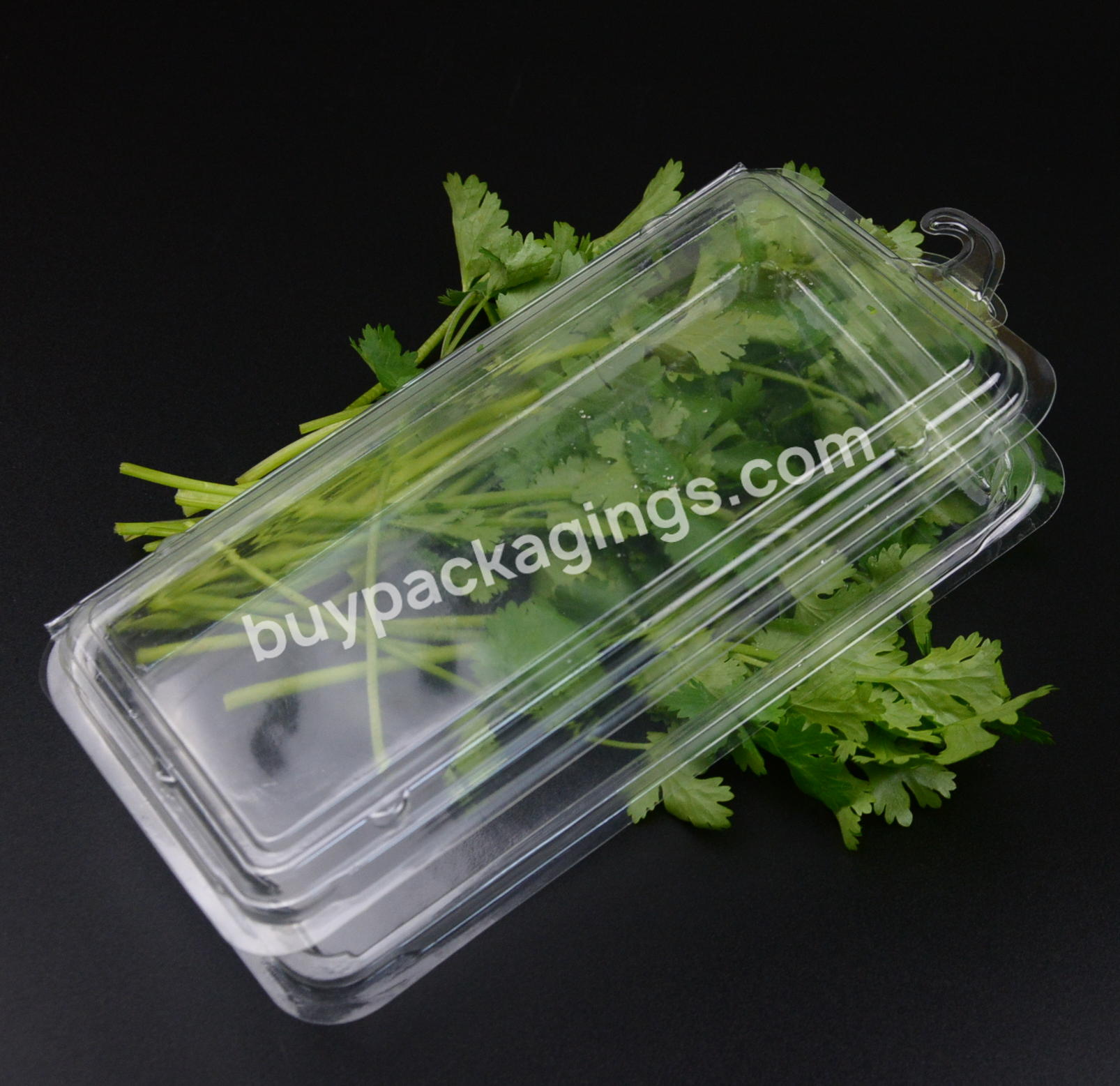 Clear Custom Logo/ Size/design Anti-fog Plastic Fresh Herbs Blister Clamshell Packaging