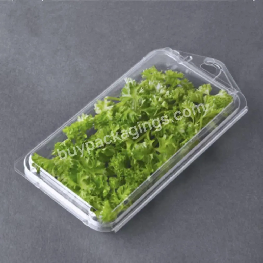 Clear Custom Logo/ Size/design Anti-fog Plastic Fresh Herbs Blister Clamshell Packaging