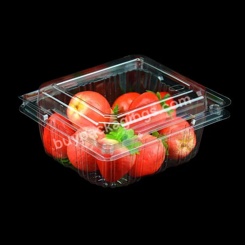 Clear Disposable Plastic Food Box Fruit Container Packaging