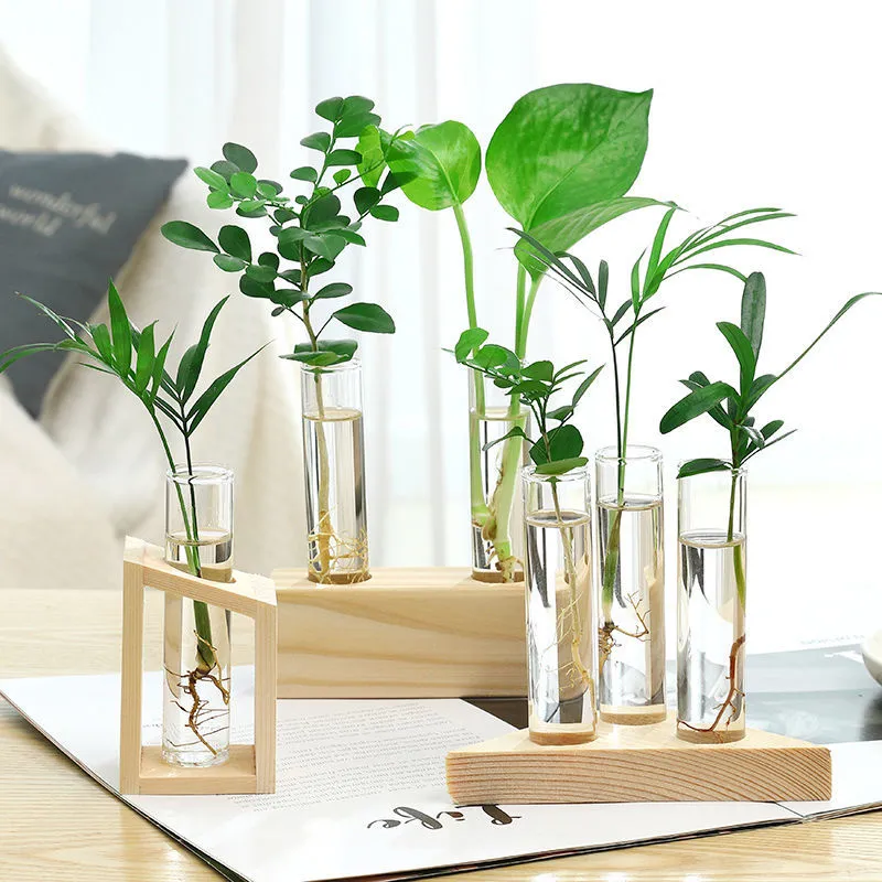 Custom Glass Test Tube Plant Hydroponic Vase Propagation Jar with Multi Wooden Stand for Office Home