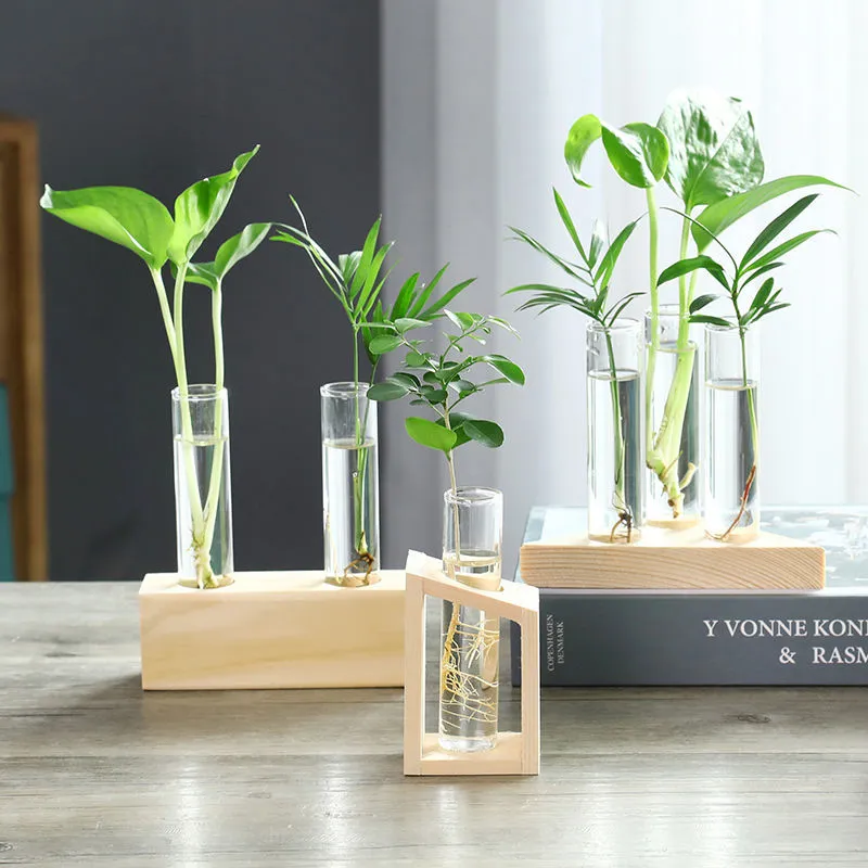 Custom Glass Test Tube Plant Hydroponic Vase Propagation Jar with Multi Wooden Stand for Office Home