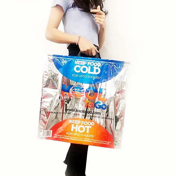 Customized Printing Thermal Insulated Bag For Frozen Food