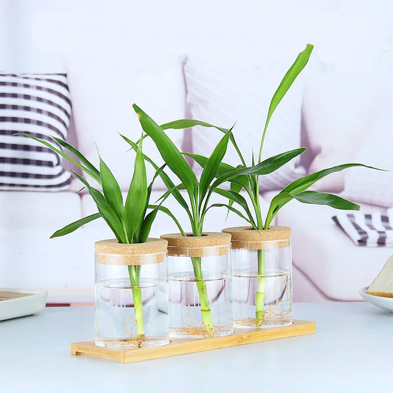 Factory Price Household Office Hydroponics Plants Glassware Home Decoration Multi Shape Glass Vase