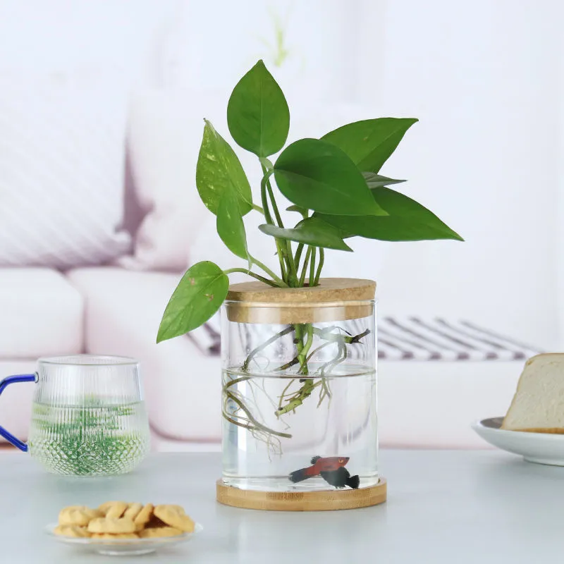 Factory Price Household Office Hydroponics Plants Glassware Home Decoration Multi Shape Glass Vase