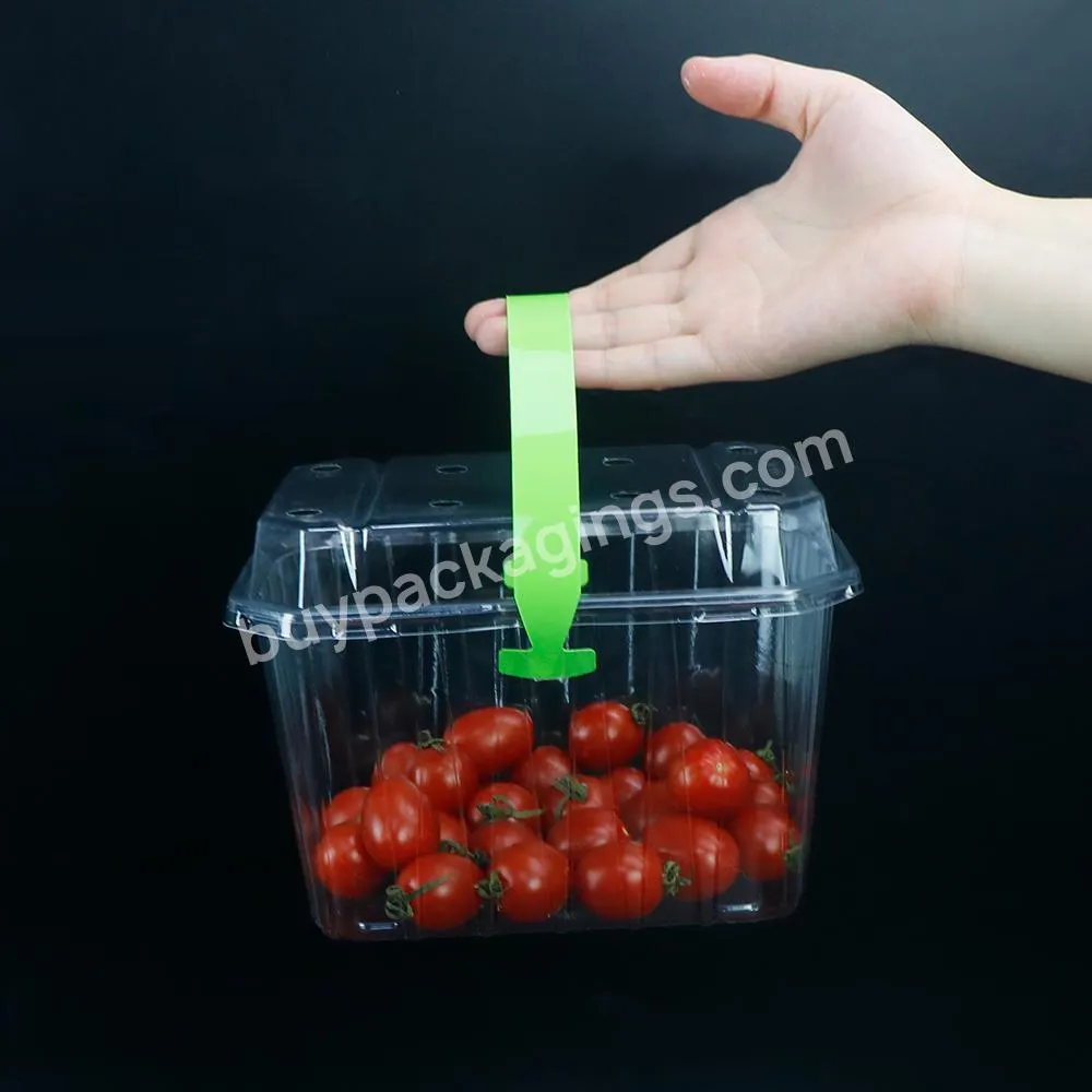 Fast Delivery Strawberry Fruit Packaging Box With Handle