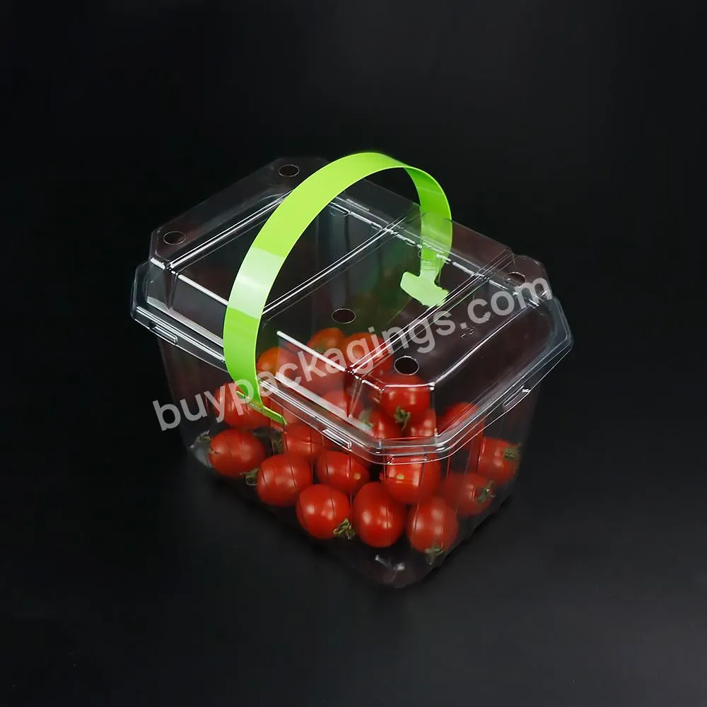 Fast Delivery Strawberry Fruit Packaging Box With Handle