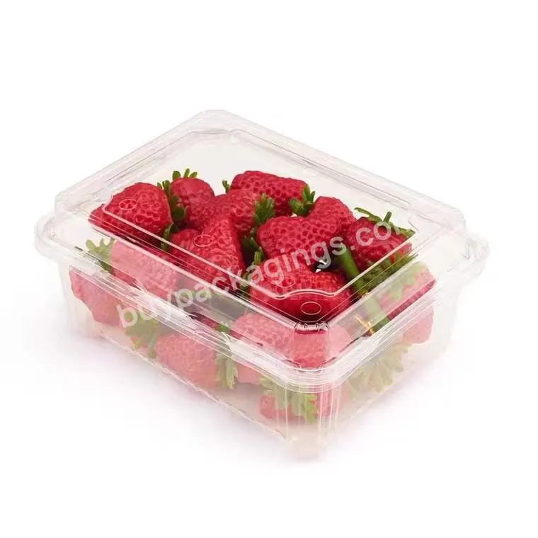 Fruit Container Plastic Disposable Plastic Box